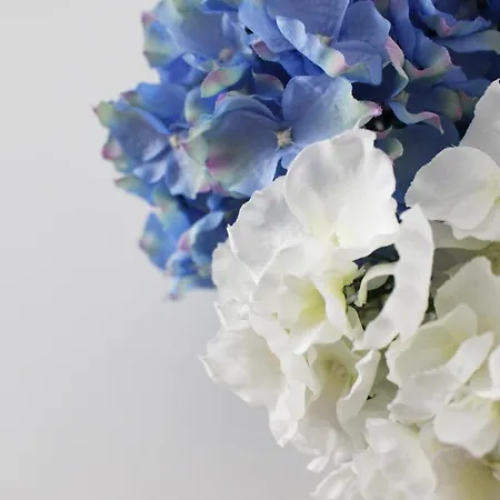 Casa Thalassa Апартаменты