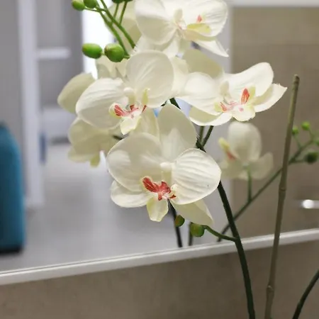 Casa Thalassa تْشيفالو