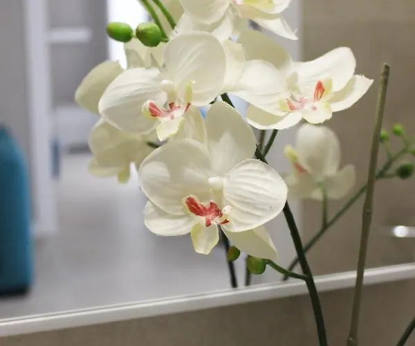 Casa Thalassa Cefalù